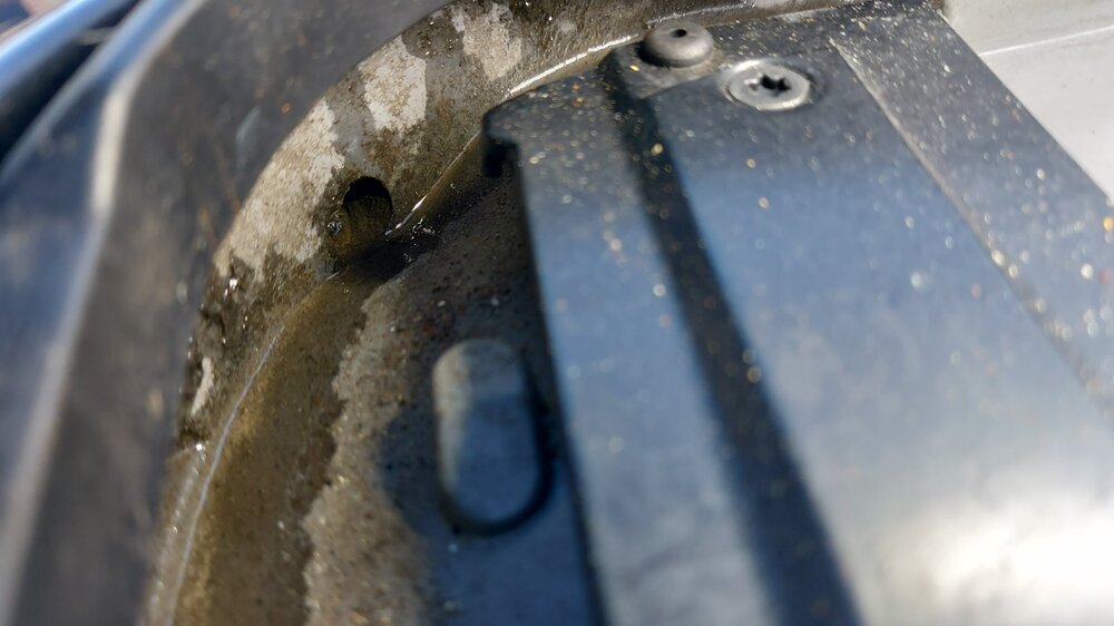 IMG-20240716-WA0033.thumb.jpeg.083ef9fadd34ea8f602c825235ad8302.jpeg