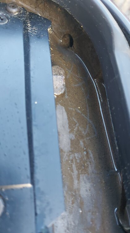 IMG-20240716-WA0040.thumb.jpeg.ef5086d197e212e1e7a468a0cb88a820.jpeg