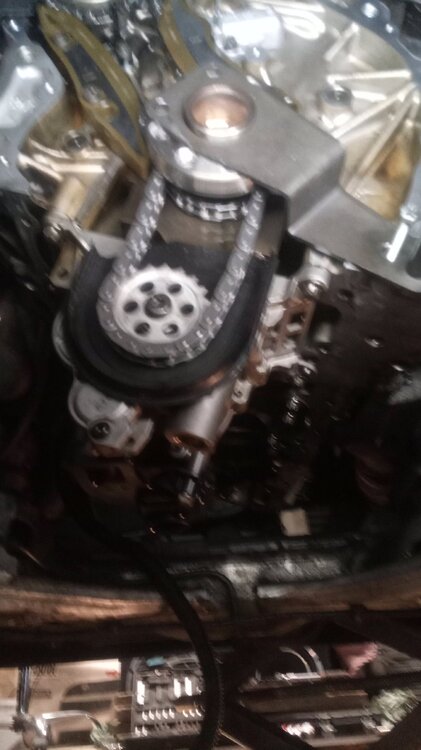 IMG-20240909-WA0000.thumb.jpeg.a8dbf5ac2ab0e924a52c8442efbd2d2b.jpeg