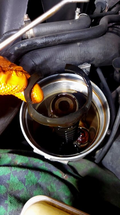 IMG-20240906-WA0039.thumb.jpeg.3efc3e09a85ce5784374364bbaa8fa4f.jpeg