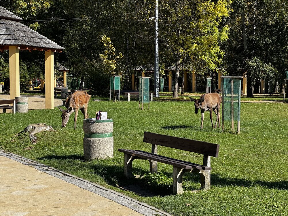 IMG_2013.jpeg